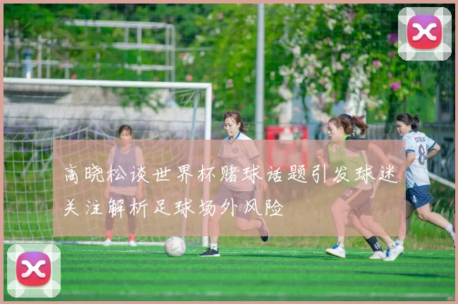 高晓松谈世界杯赌球话题引发球迷关注解析足球场外风险