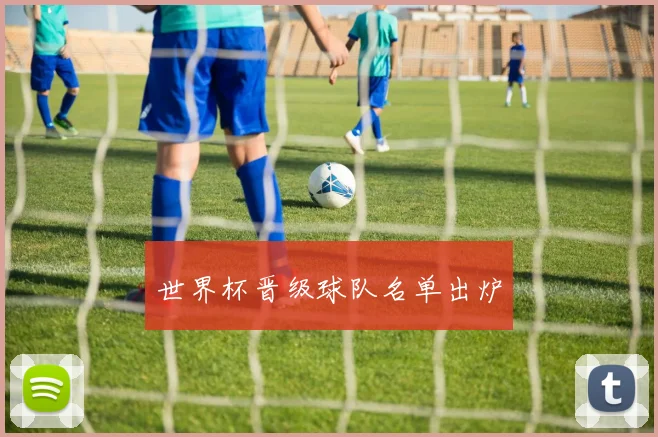世界杯晋级球队名单出炉